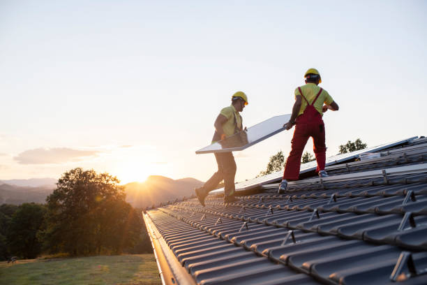 Best Steel Roofing  in Appleton City, MO