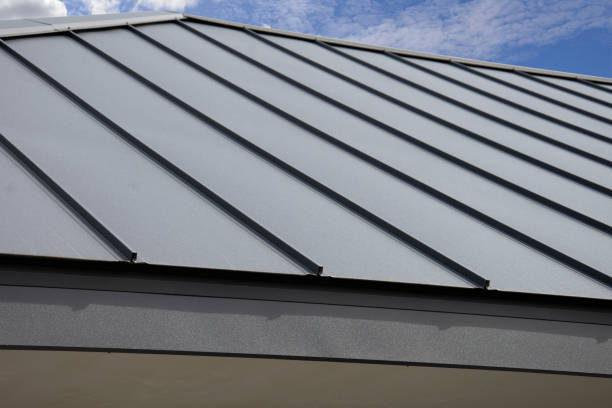 Best Chimney Flashing Repair  in Appleton City, MO